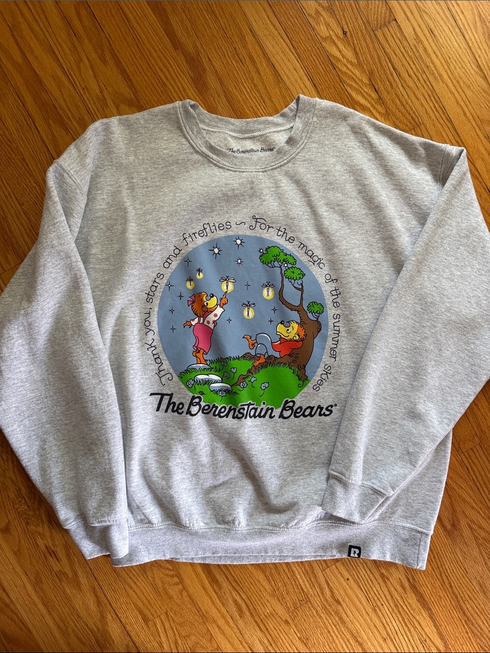 Berenstein Bears | Retrokid Crewneck
